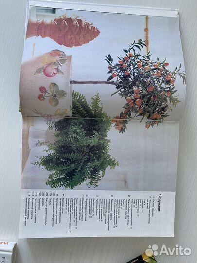 Книги о комнатных растениях и альпийские горки