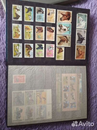 Почтовые марки