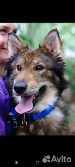 Мокко из приюта