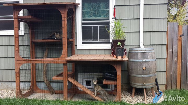 Вольер для кошек