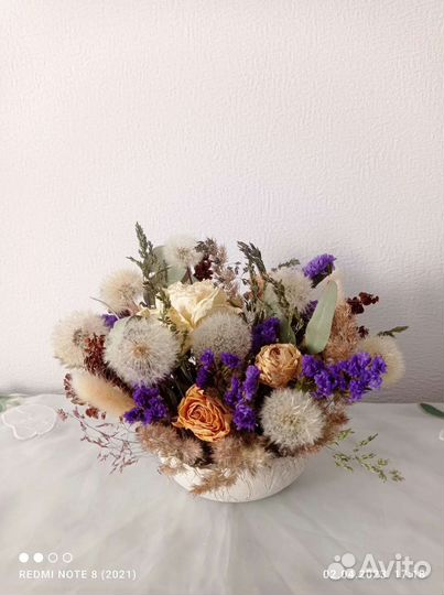 Одуванчики