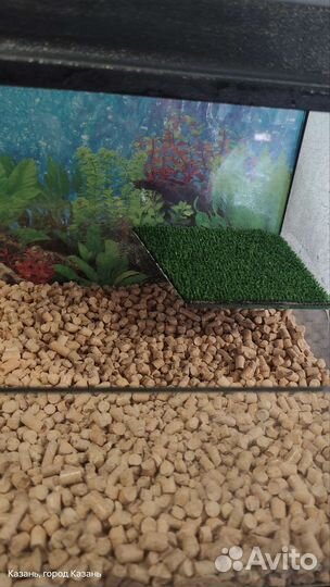 Аквариум для черепах