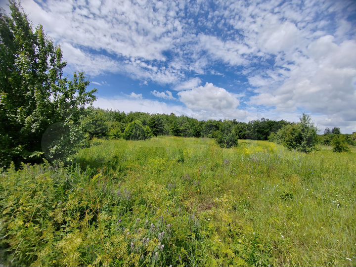 Участок 6 га (СНТ, ДНП)