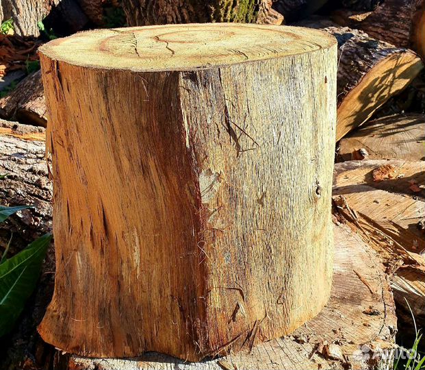 Пеньки для декора