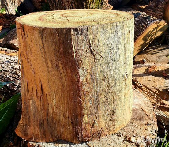 Пеньки для декора