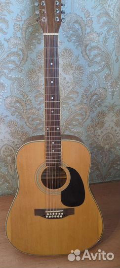 12 ти струнная гитара