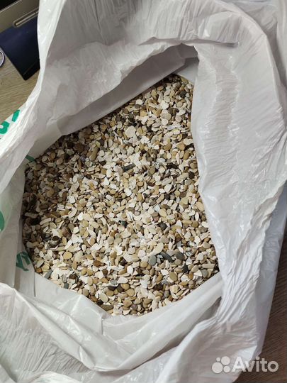 Морской ракушечник