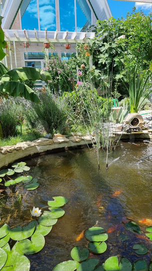 Дом 60 м² на участке 6 сот.