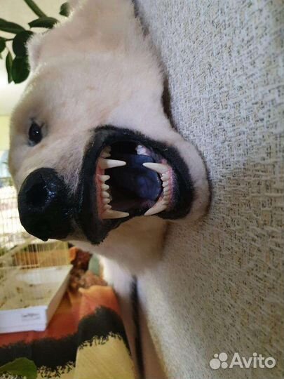 Медведь. Шкура белого медведя ковер, «реплика»