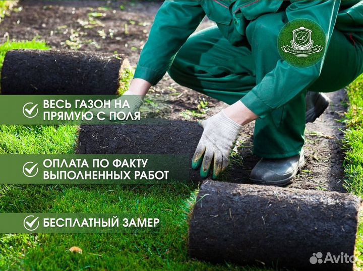 Рулонный газон под ключ