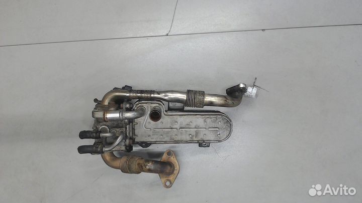 Охладитель отработанных газов Volkswagen Touran, 2