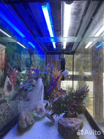 Аквариум с тумбой 200 л