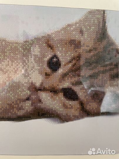 Картина алмазная вышивка готовая