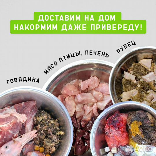 Мясо для собак