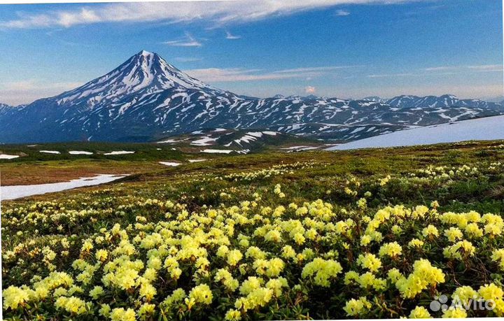 Тур поездка на пол. Байкал летом от 7-9 дней