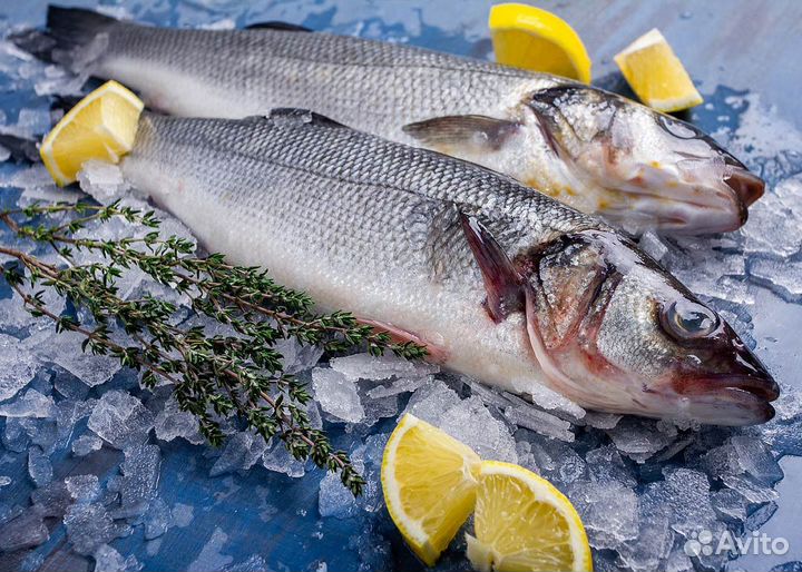 Сибас Дорадо Семга Лосось Креветки