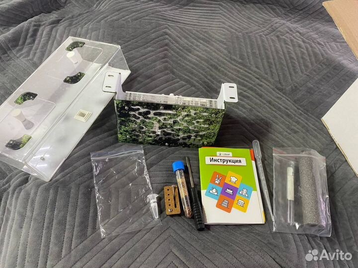 Муравьиная ферма без муравьев antplanet формикарий