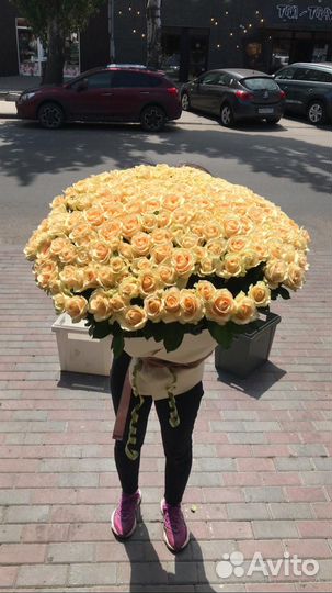 Цветы розы доставка ростов 101 51 25 роз