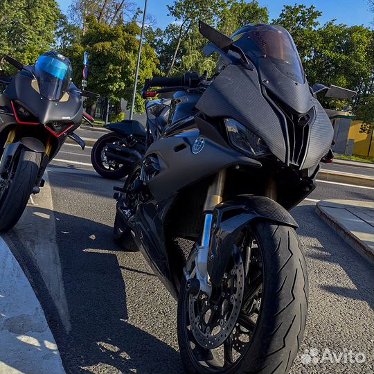 BMW S1000RR - Full Carbon GP1R Rizoma Bonamici