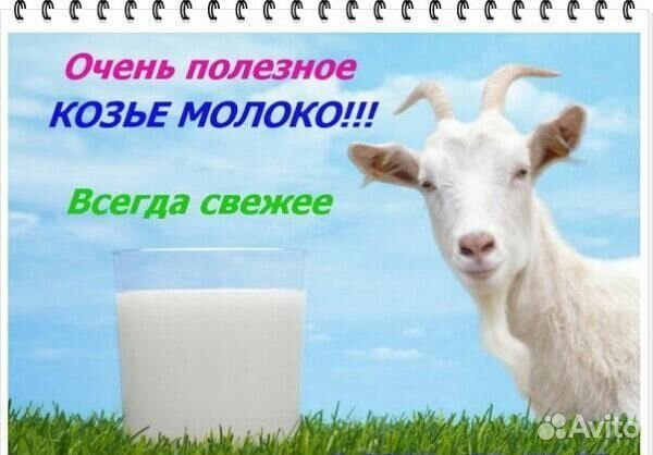 Козье молоко, сыр, доставка