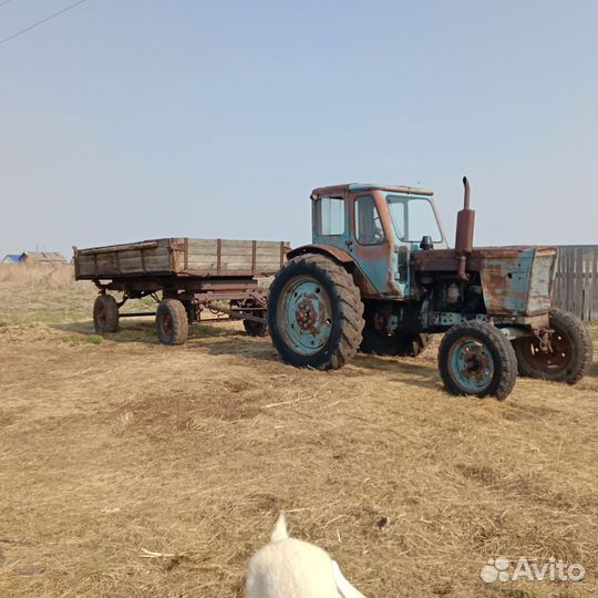 Трактор МТЗ (Беларус) 50, 1978