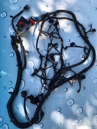 Жгут проводов моторного отсека 31376888
