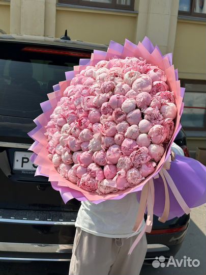 Пионы 11шт 15шт 51шт 101шт/ розы/ цветы