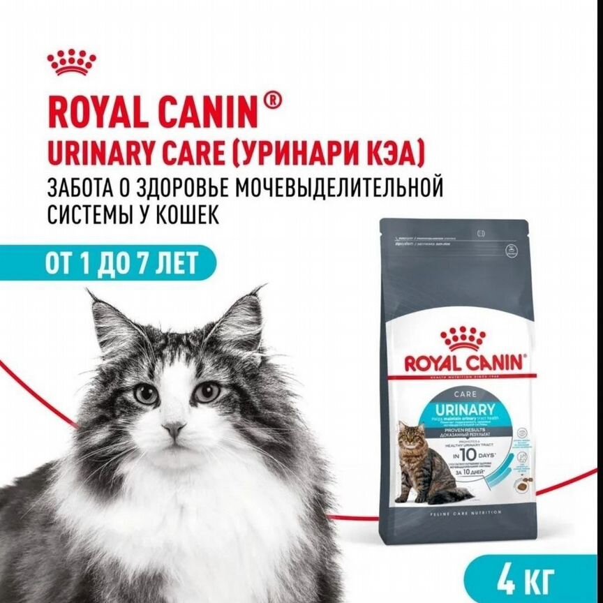 Корм для кошек royal canin