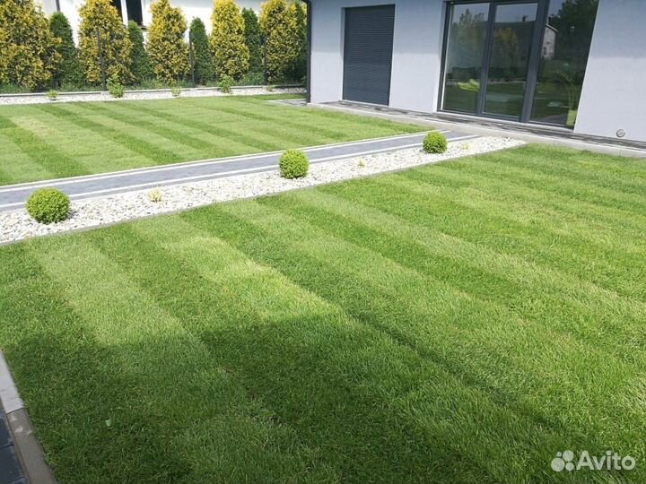 Газон под ключ, газон рулонный