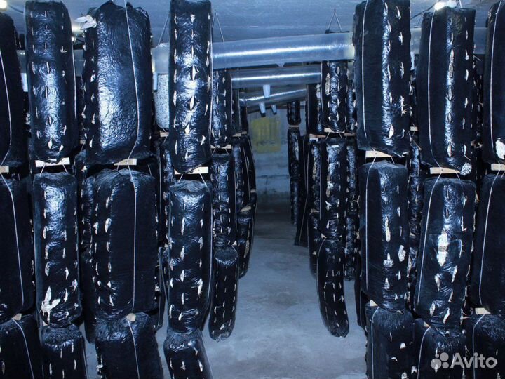 Инвестиции