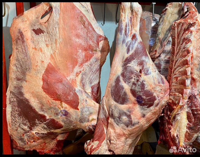 Мясо говядина халяль