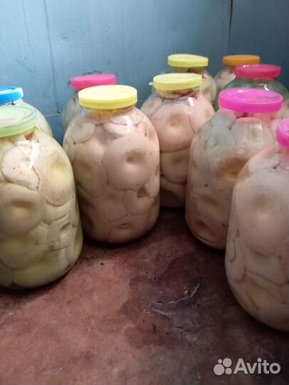 Грибы грузди соленые