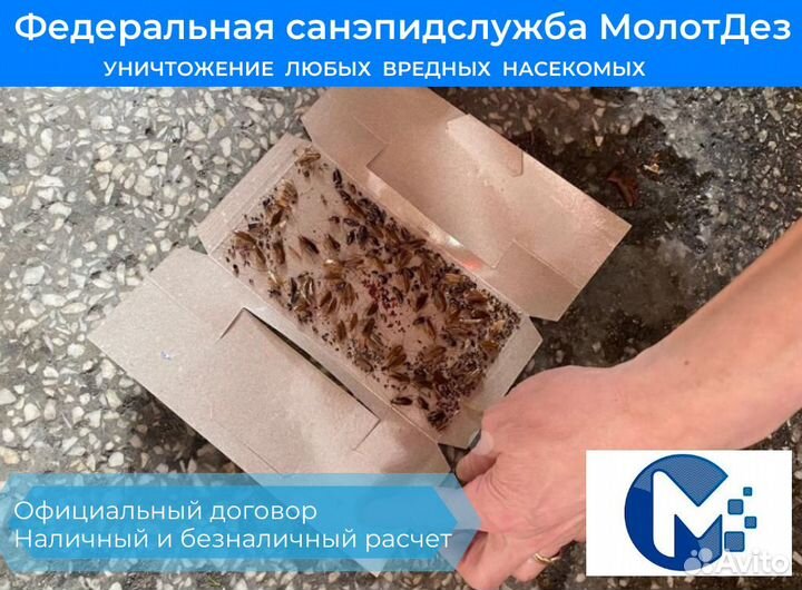 Дезинфекция.Уничтожение тараканов,клопов.Гарантия