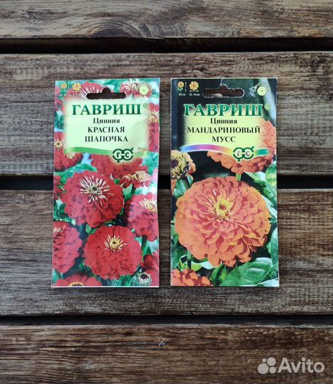 Семена Циннии