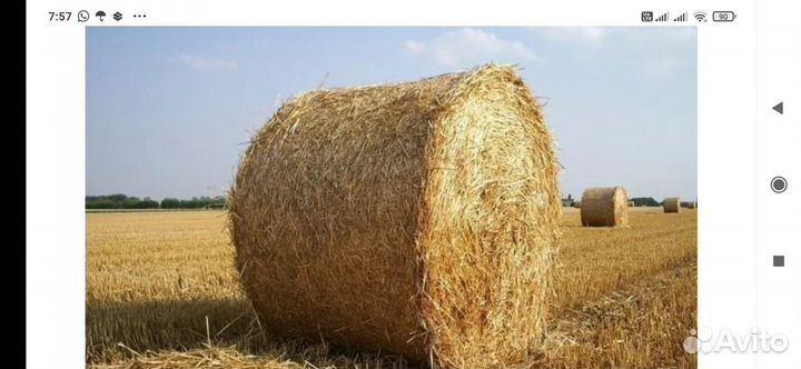 Дискатор бдм -3 метровый