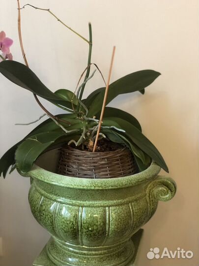 Подставка под цветы