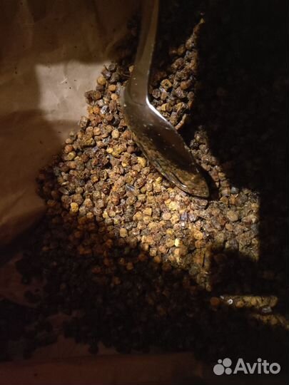 Мёд в сотах 2кг + перга 100гр