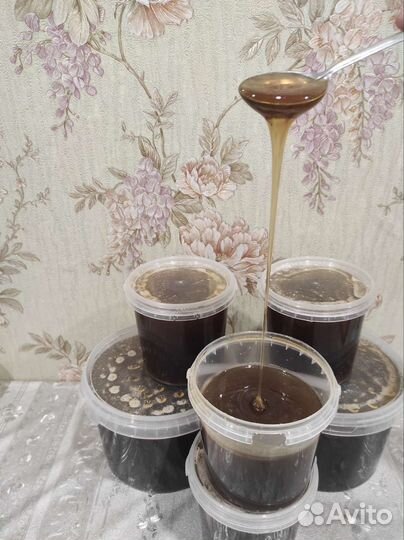 Свежий мед 2023