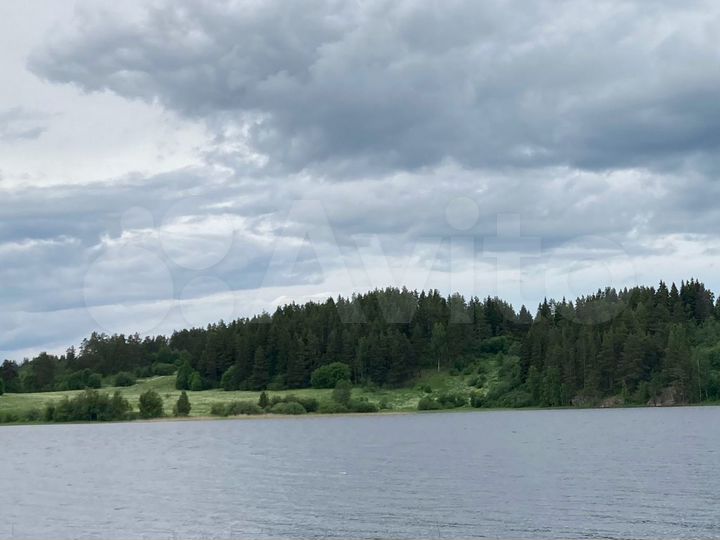 Участок 2,5 га (СНТ, ДНП)