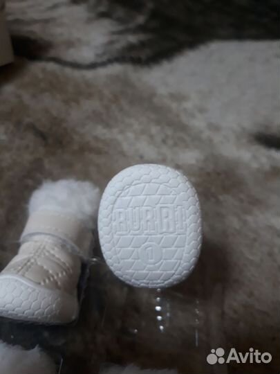 Ботинки для маленьких собак