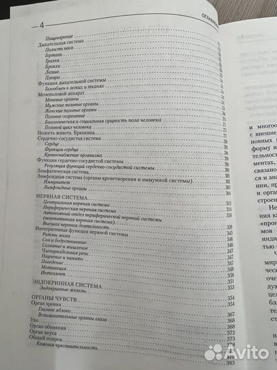 Учебник по анатомии и физиолоии человека