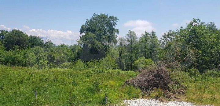 Участок 5,5 сот. (ИЖС)