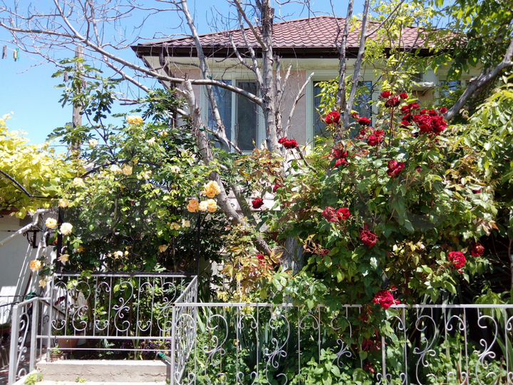 Комната 26 м² в 1-к., 1/2 эт.