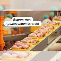 Оператор линии на полуфбикаты. Невинномысск