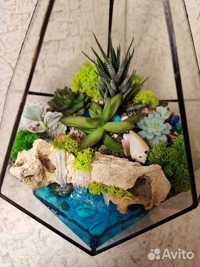 Флорариумы, моссариумы