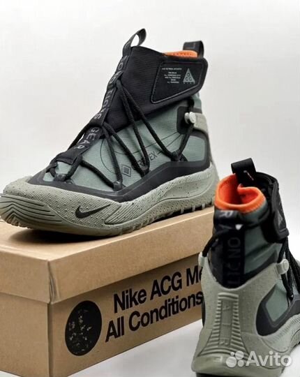 Кроссовки Nike ACG Air Terra Antarktik gtx