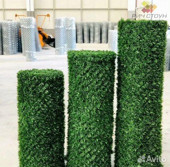 Зеленая изгородь