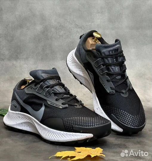 Nike air zoom pegasus (44)