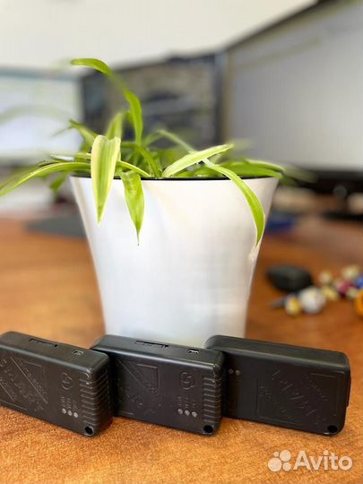 Система мониторинга транспорта