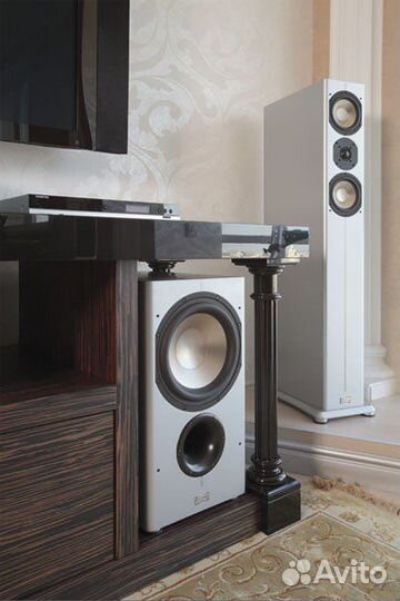ASW cantius 404 white